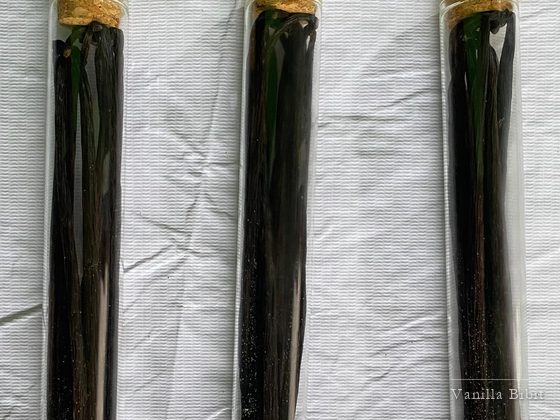 Tiga tabung kaca bertutup gabus berisi batang vanili, diletakkan di atas kain putih.