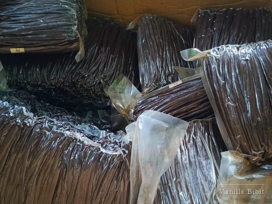 Kotak karton berisi beberapa bongkah batang vanili yang terbungkus plastik.