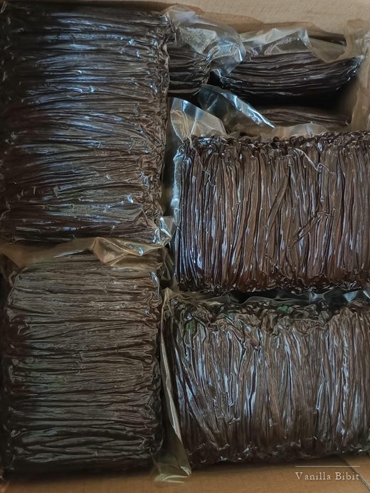 Tampak dekat bongkah batang vanili terbungkus plastik di dalam kotak.