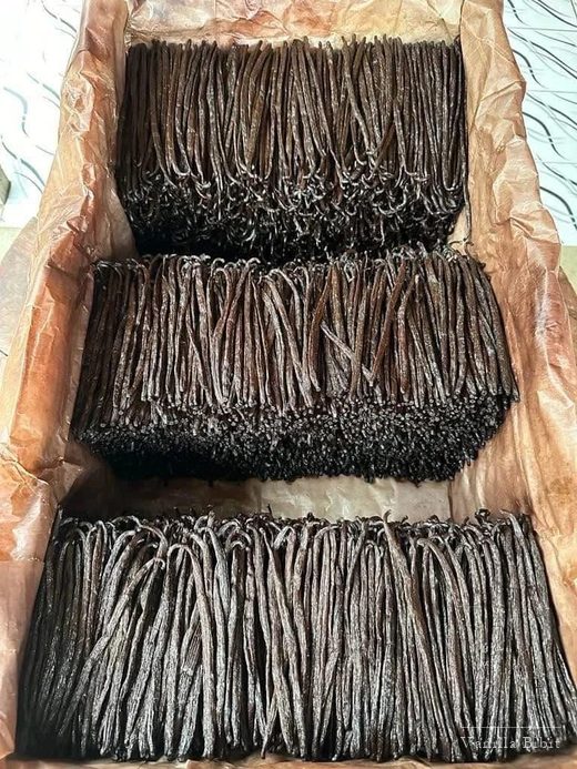 Tiga bongkah batang vanili dengan warna berbeda tersusun bertingkat dalam satu kotak.