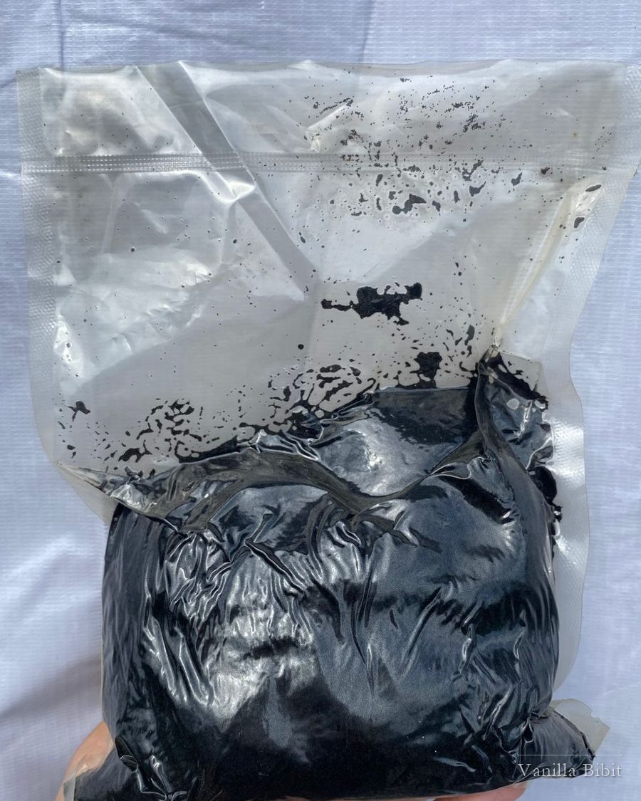 Vanilla caviar berwarna hitam pekat dalam kemasan plastik bening