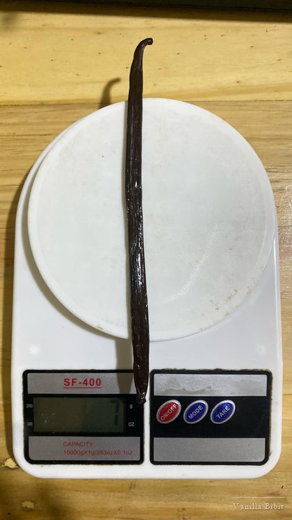 Satu batang vanili diletakkan di atas timbangan dapur digital SF-400.