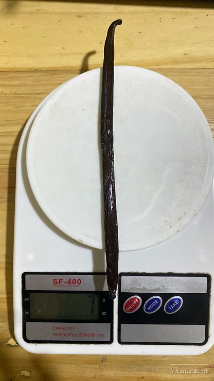 Satu batang vanili diletakkan di atas timbangan dapur digital SF-400.
